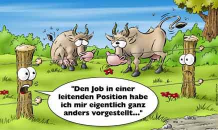 leitende_position