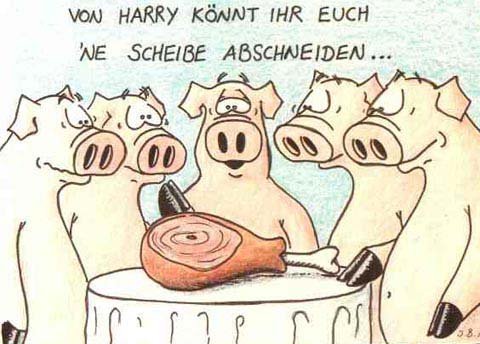 schwein