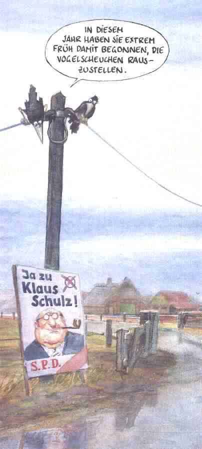 vogelscheuche