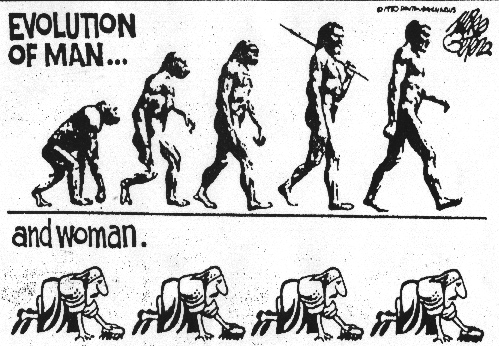 Evolution